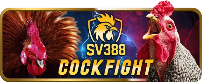 Hỗ trợ trực tuyến 24/7 của bwin app